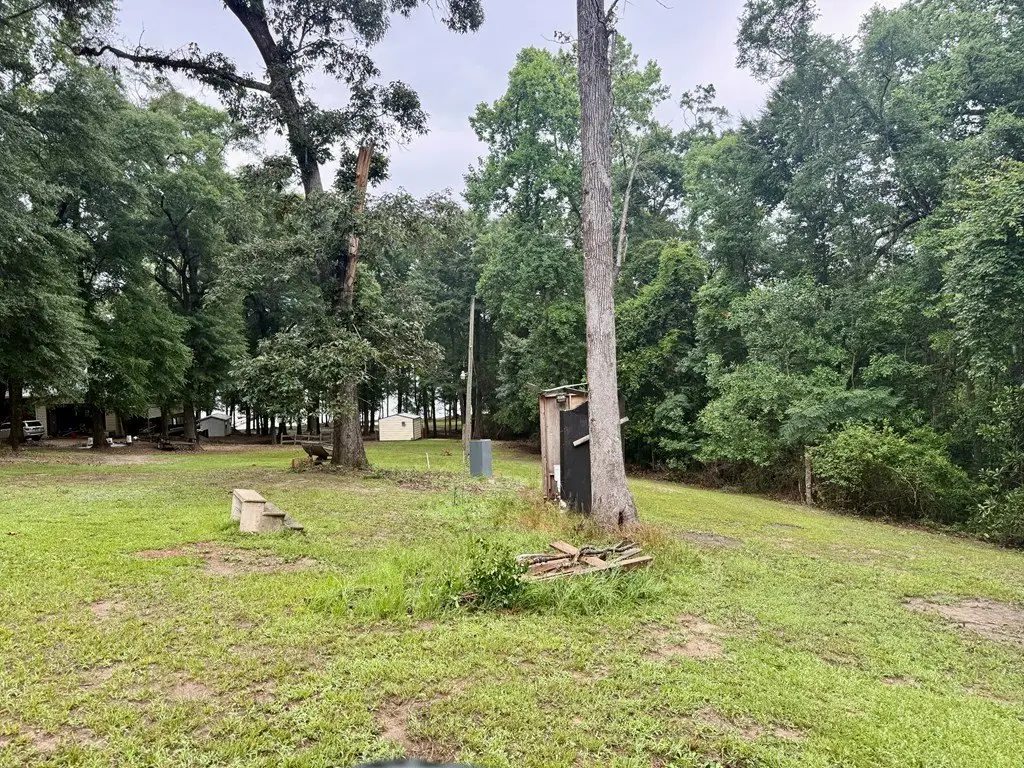Picture 17
