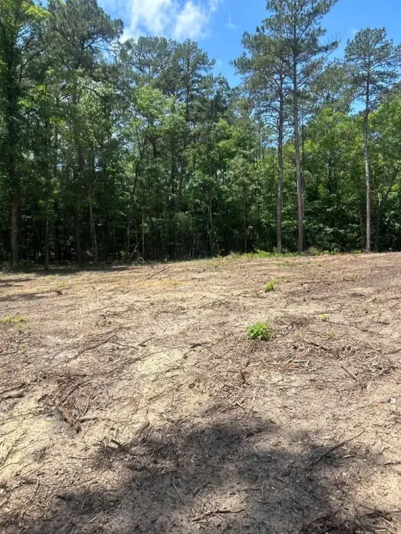 Picture 3