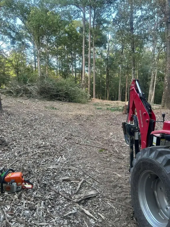 Picture 18
