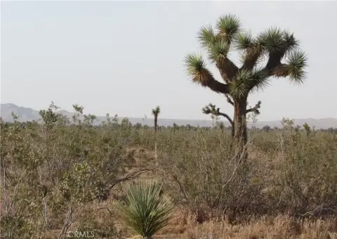 Adelanto Industrial Land For Sale