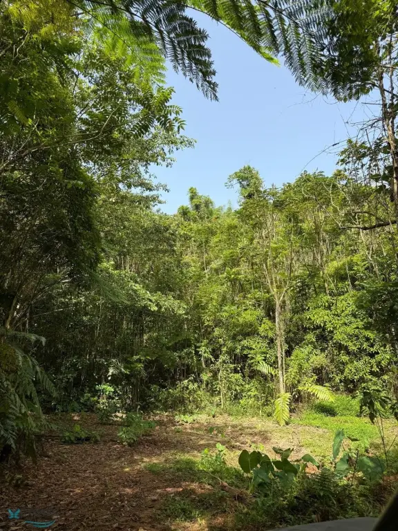 Picture 28