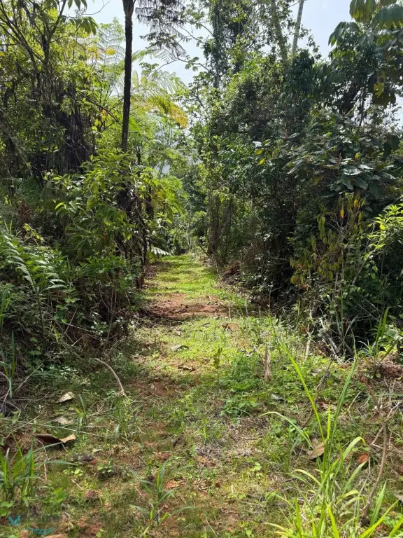 Picture 26