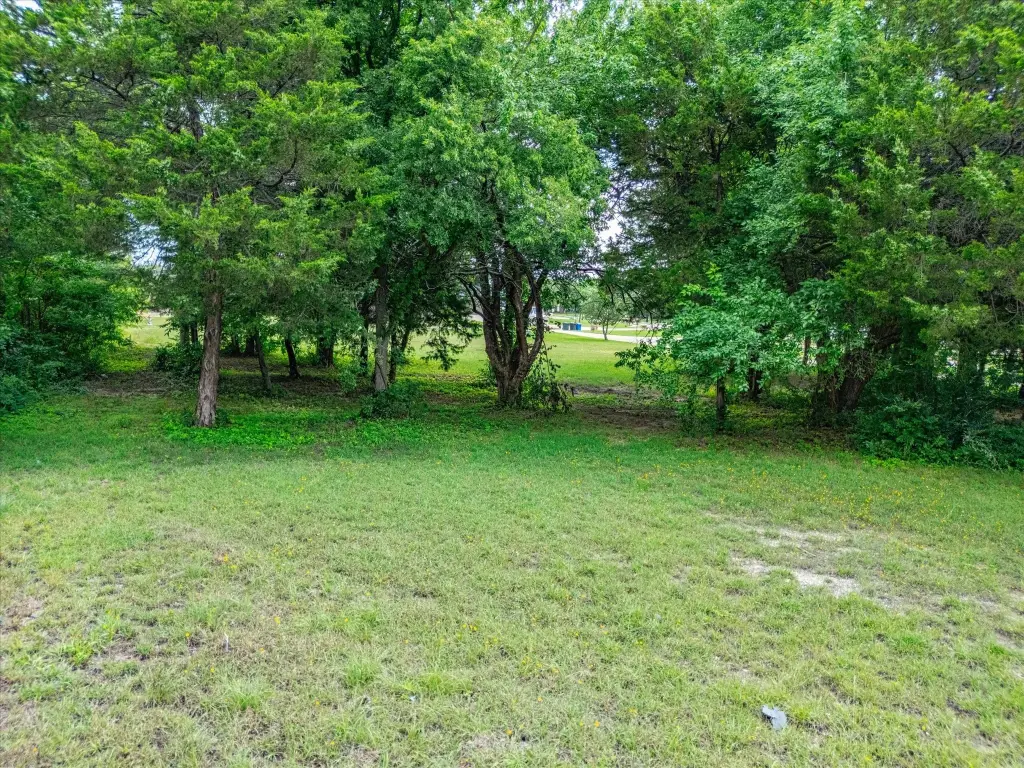 Picture 26