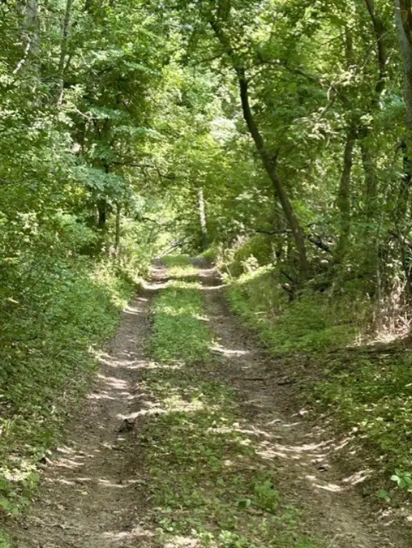 Picture 17