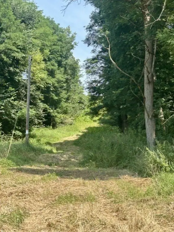 Picture 16