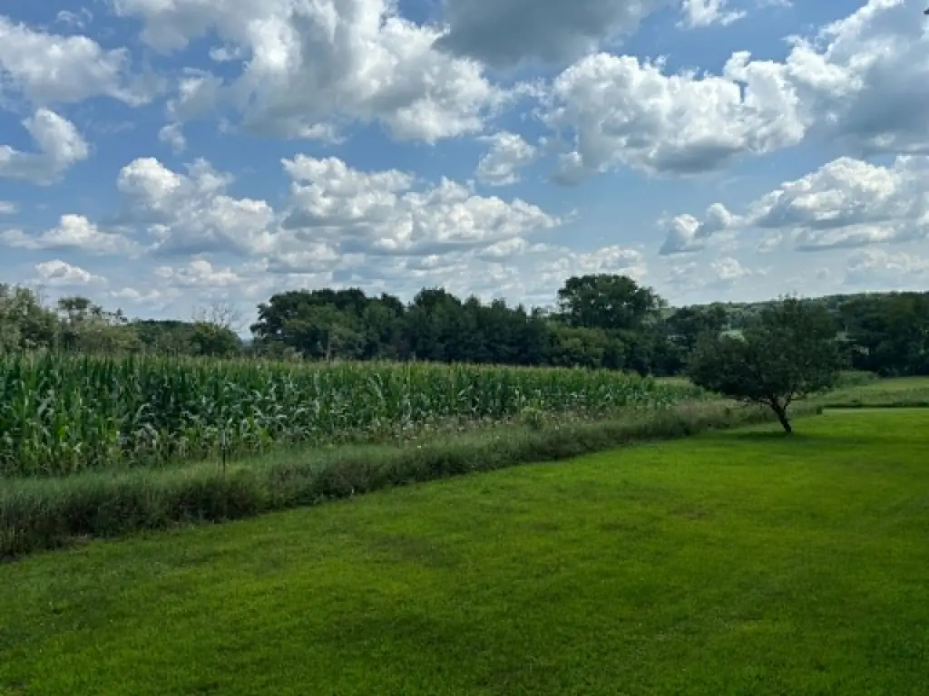 Picture 5