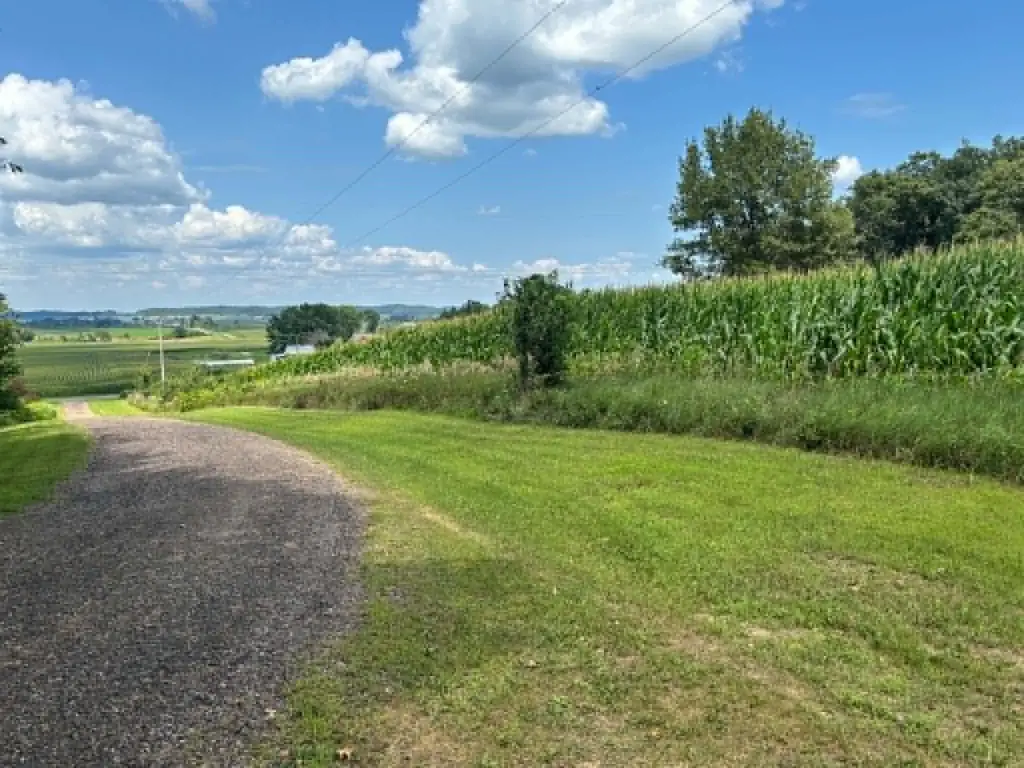 Picture 6