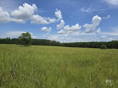 Secluded Land with Hunting Cabin