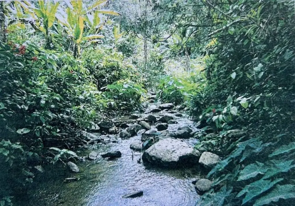 Picture 3