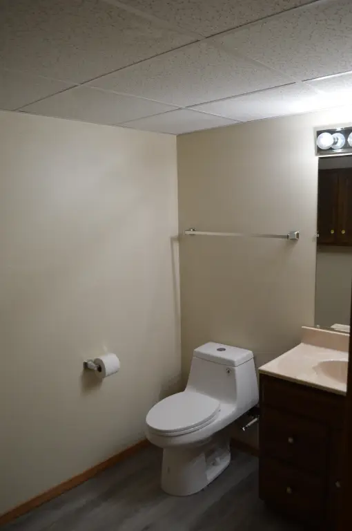 Picture 16