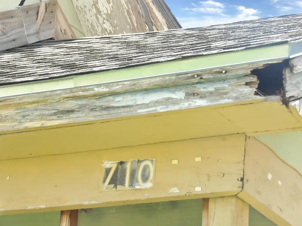 Picture 27