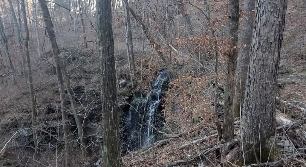 Picture 6