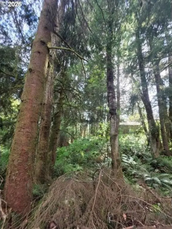 Picture 12