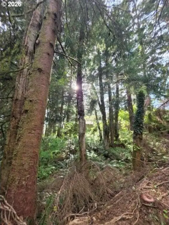 Picture 8