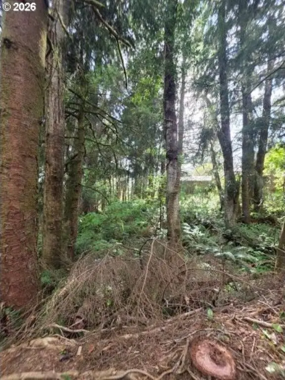 Picture 9