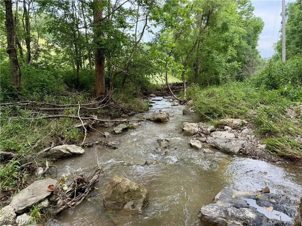 Picture 14