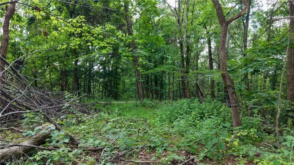 Picture 16