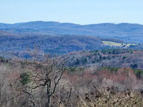 Vacant Land with Mountain Views