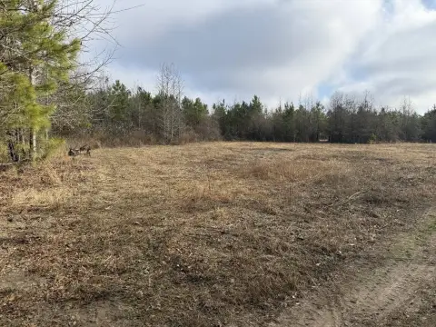 22 Acres Ready for Use