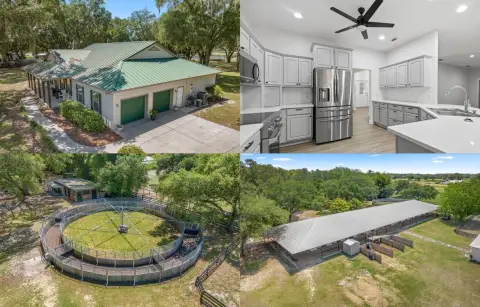 Morriston Equestrian Paradise Farm Estate