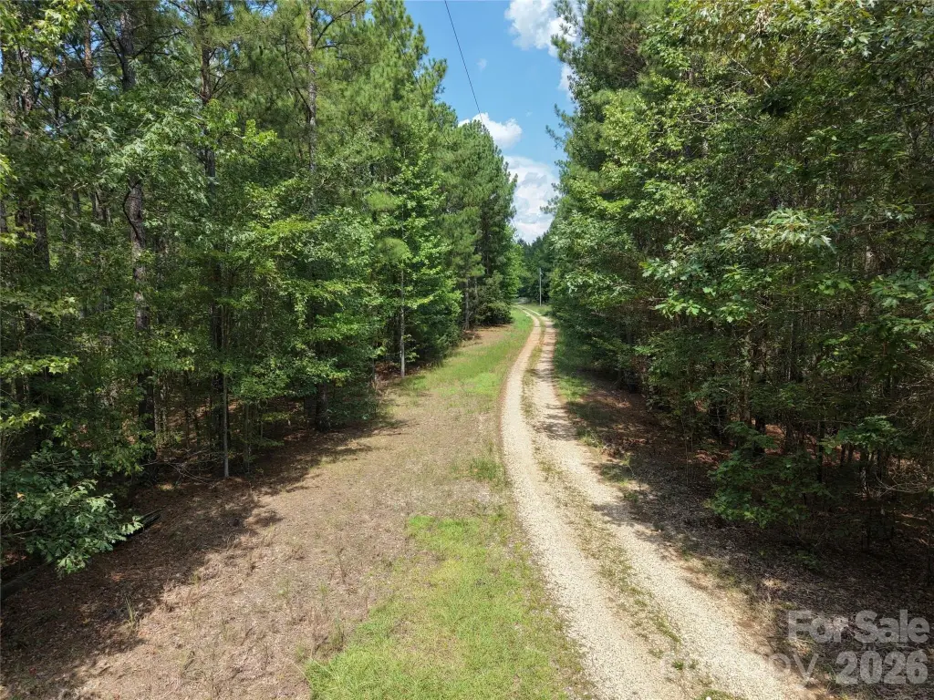 Picture 19