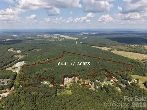 Hunting Land with Pine Timber