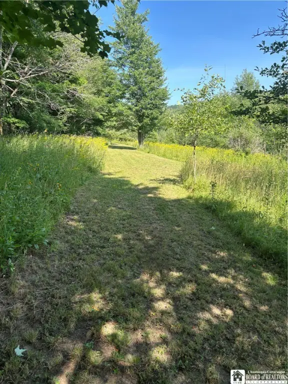 Picture 33