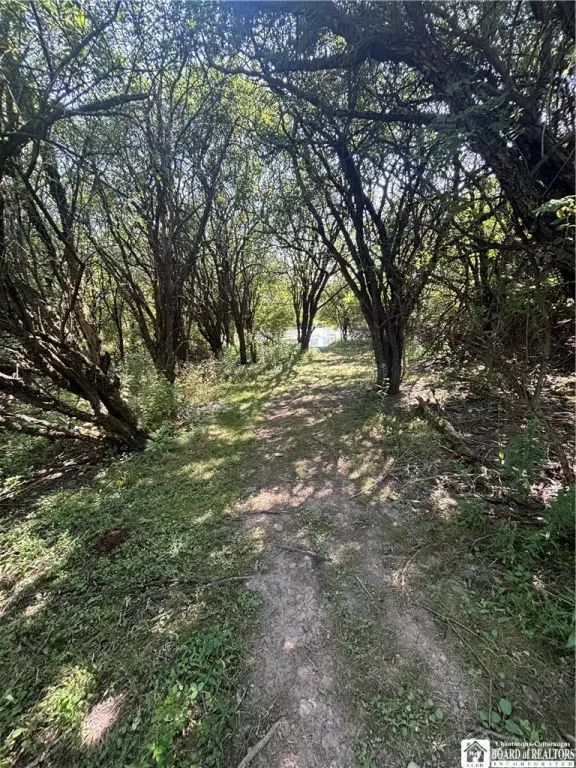 Picture 23
