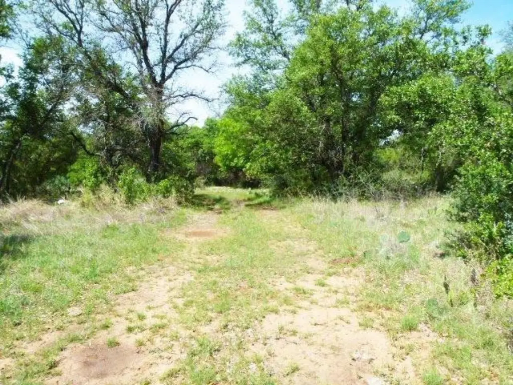 Picture 17