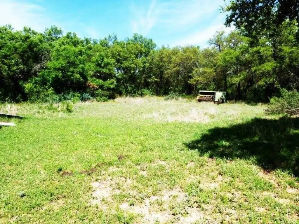 Picture 15