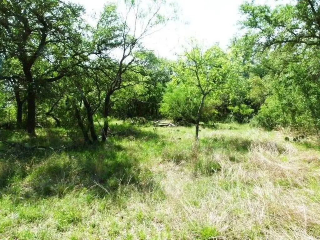 Picture 16