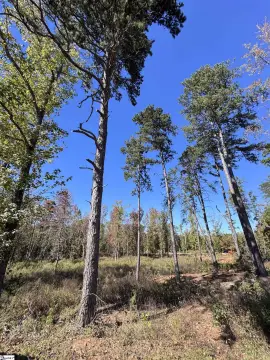 Land For Sale Greenville, SC