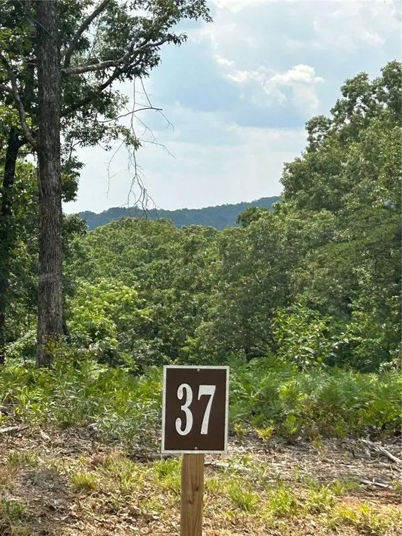 Picture 7