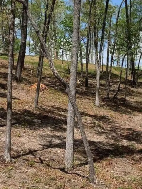 Picture 4