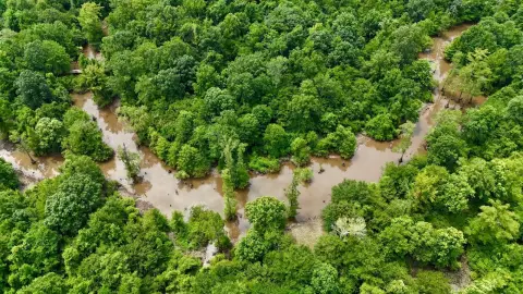 Kilmichael Trophy Deer Hunting Land