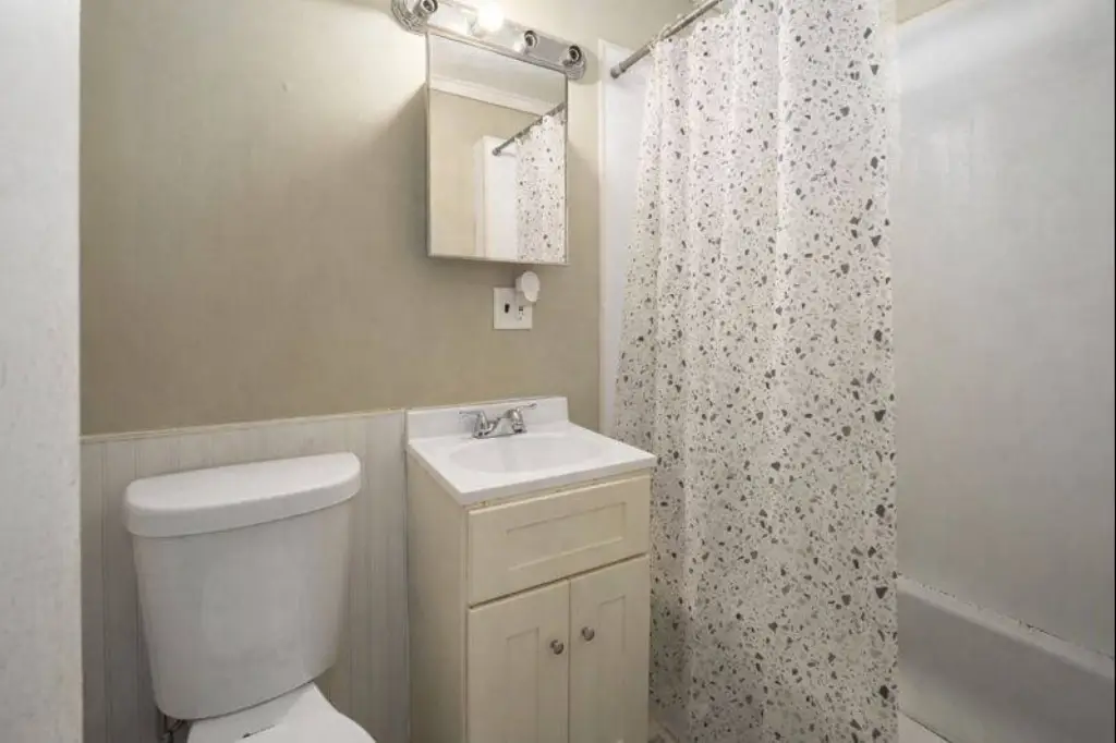 Picture 19