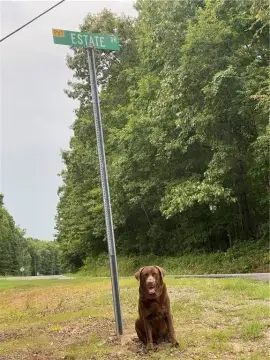 Secluded Wooded Parcel in Providence