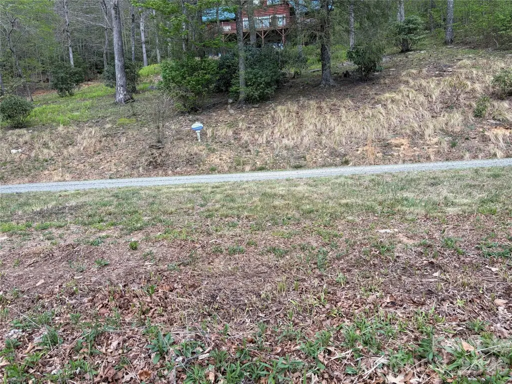 Picture 12