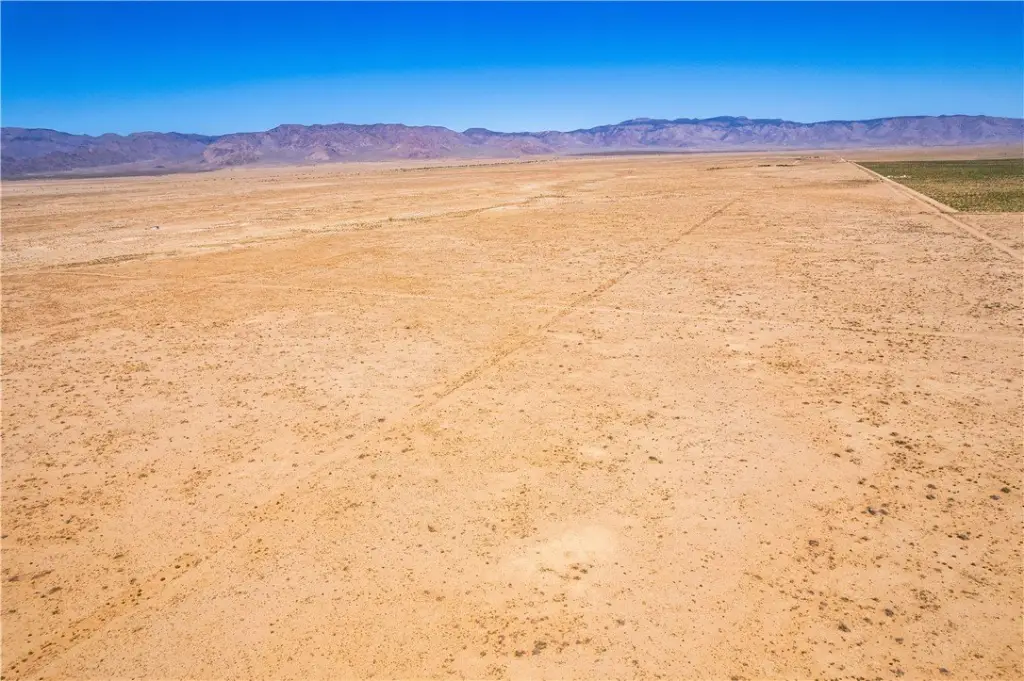Picture 25