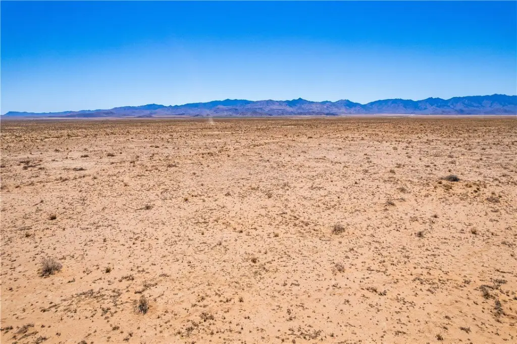Picture 11