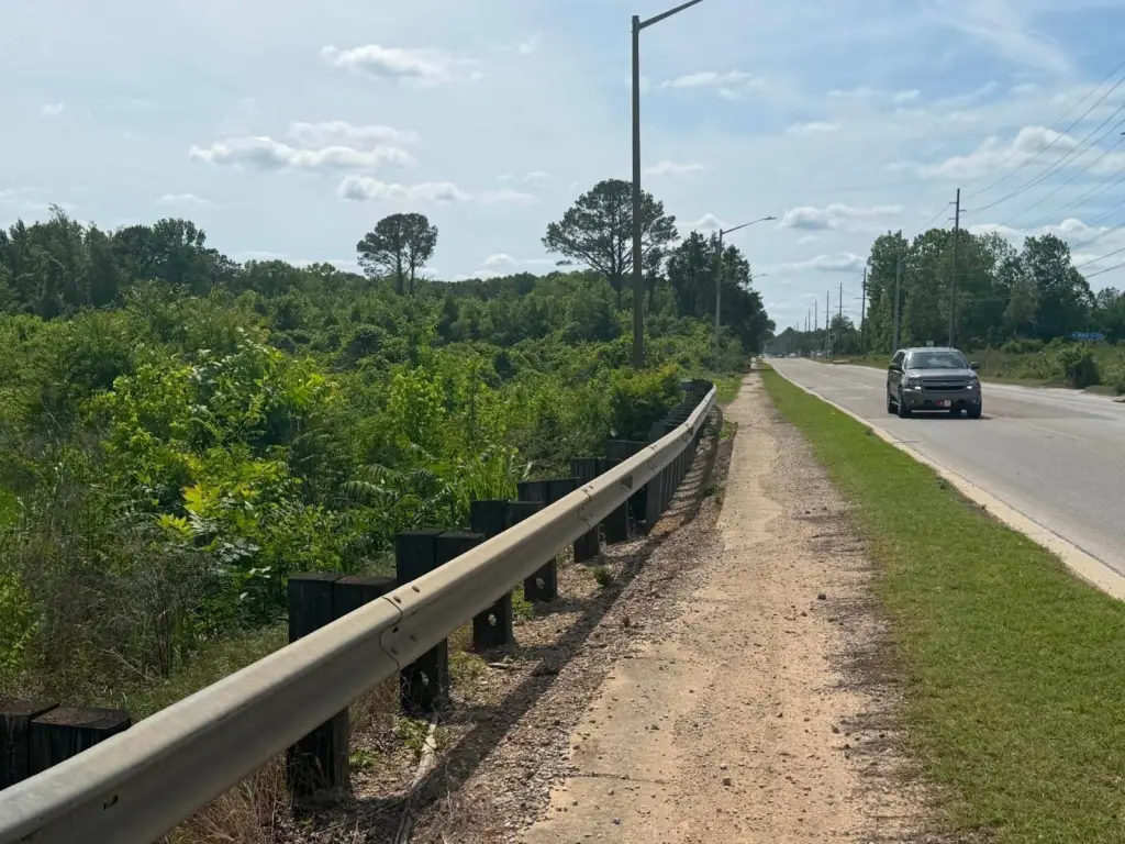 Picture 19