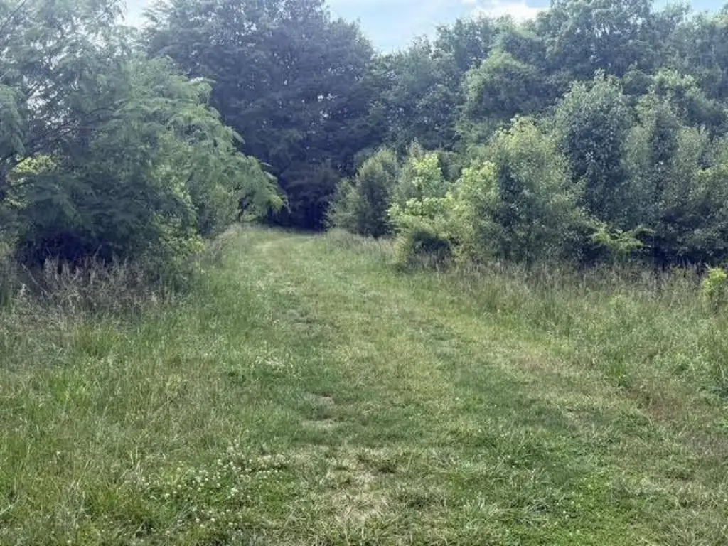 Picture 6