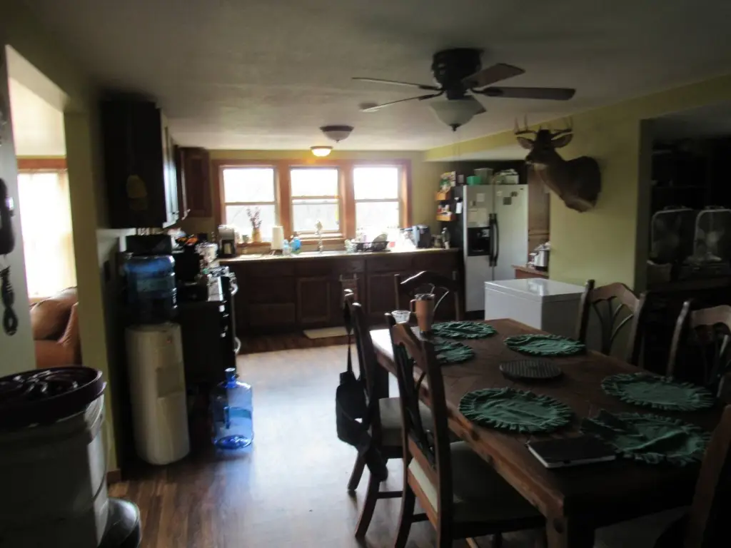 Picture 8