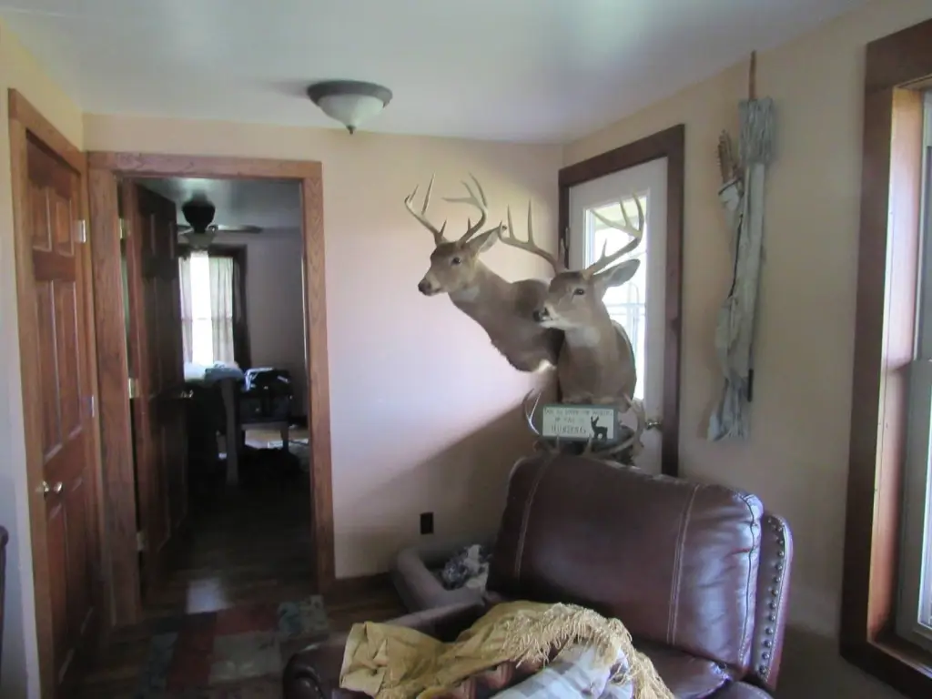 Picture 15