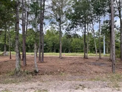 Residential Lot in Sopchoppy, FL