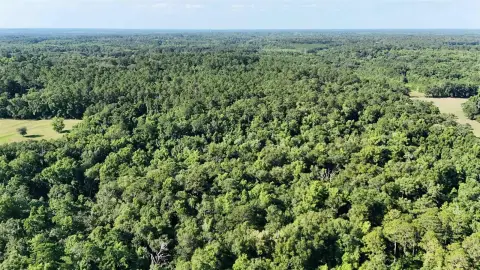 Secluded 10-Acre Homesite in Monticello