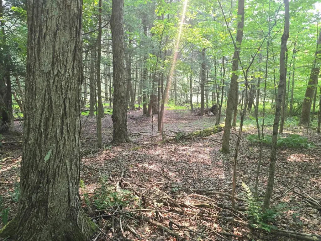 Picture 26