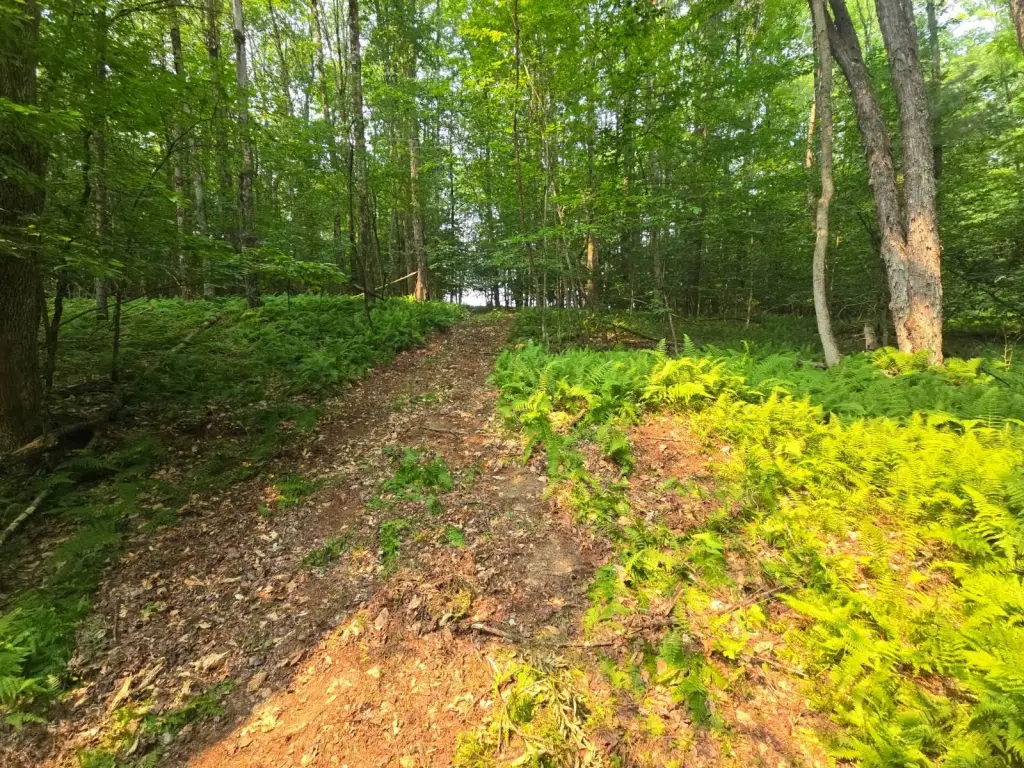 Picture 45