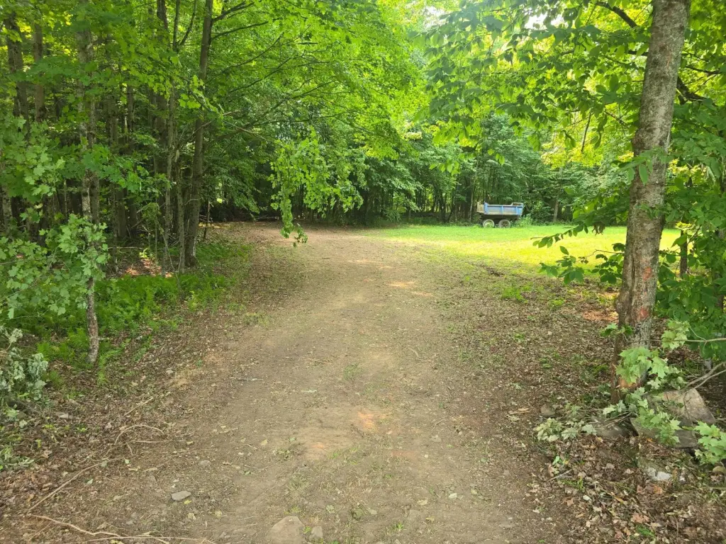Picture 23