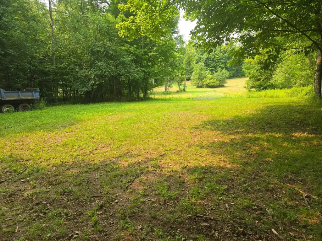 Picture 25